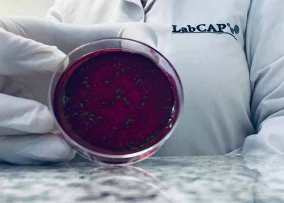 LabCAP - Infraestructura